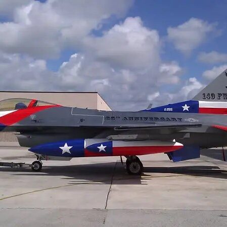 f-16-for-149ths-65th-anniversary-pic-5